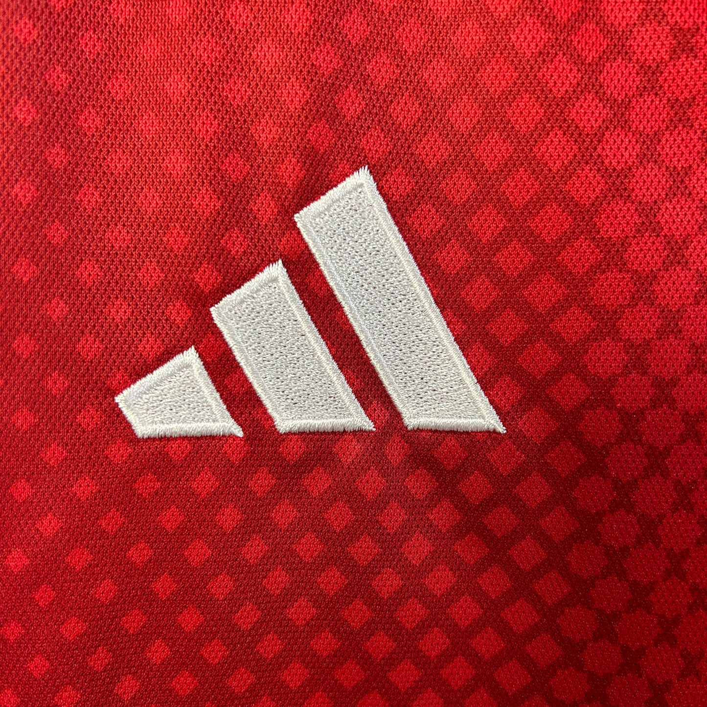 Camisa do Ajax l 2025/26 Masculina Torcedor