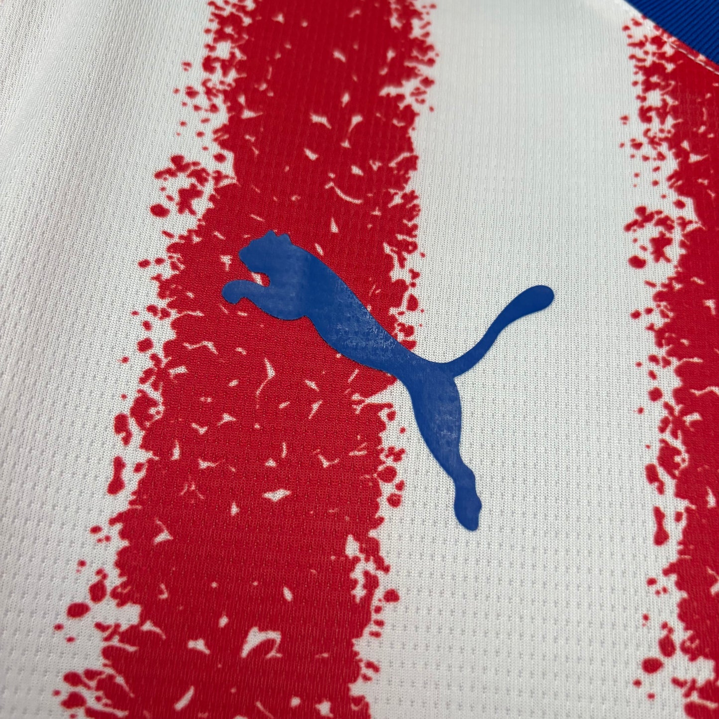 Camisa Paraguai l 2026 | Versão Torcedor Masculina