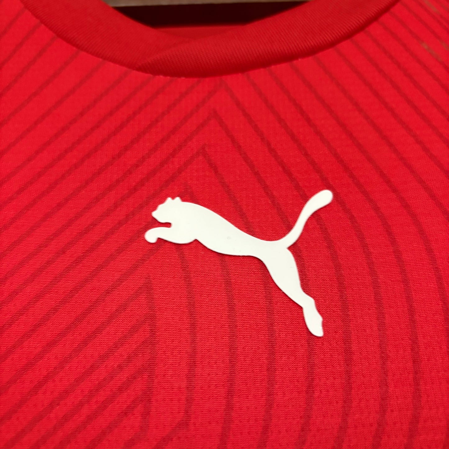 Camisa Suíça l 2026 | Versão Torcedor Masculina