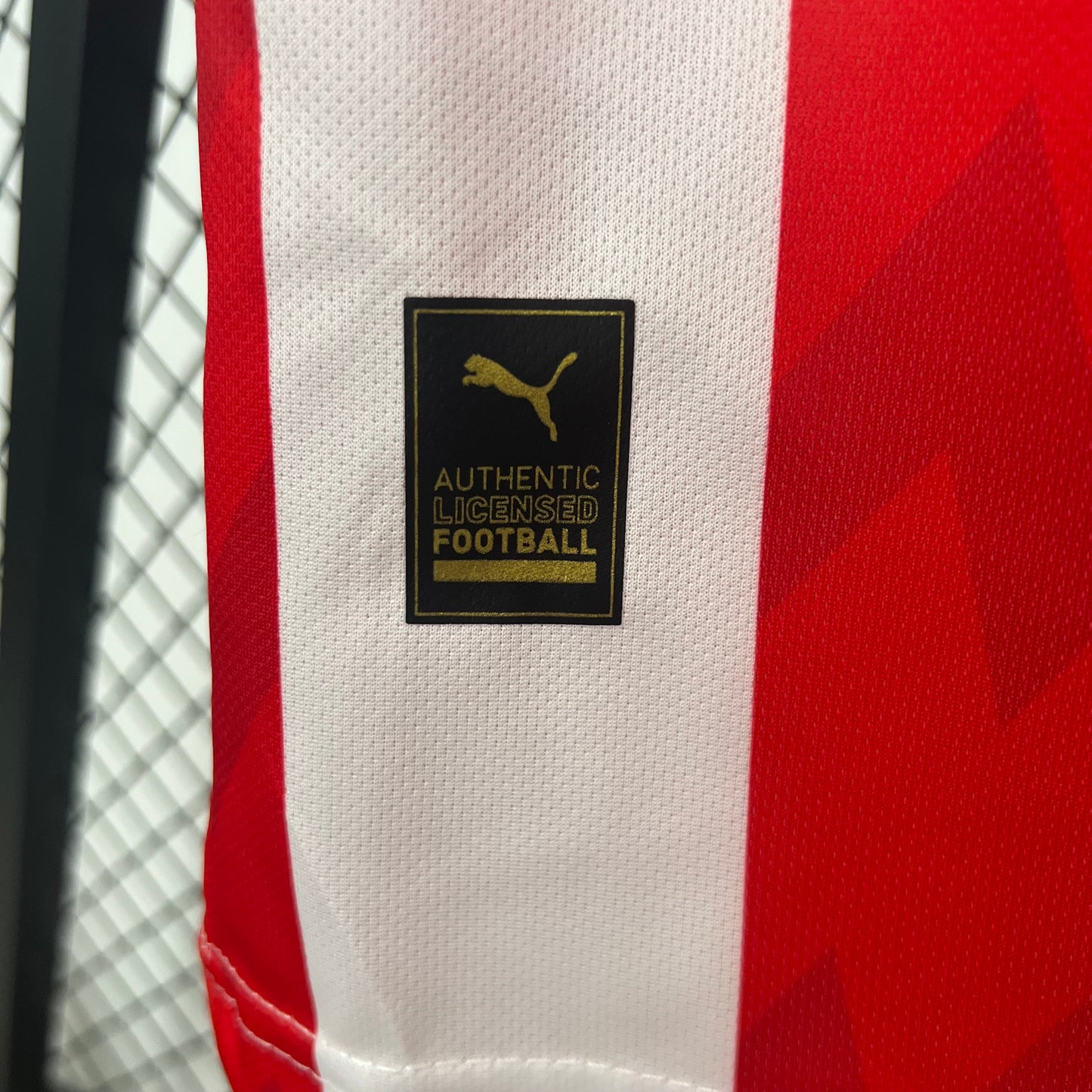 Camisa PSV l 25/26 | Versão Torcedor Masculina