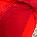 Camisa do Bayern Munich l 2024/25 Masculina Torcedor