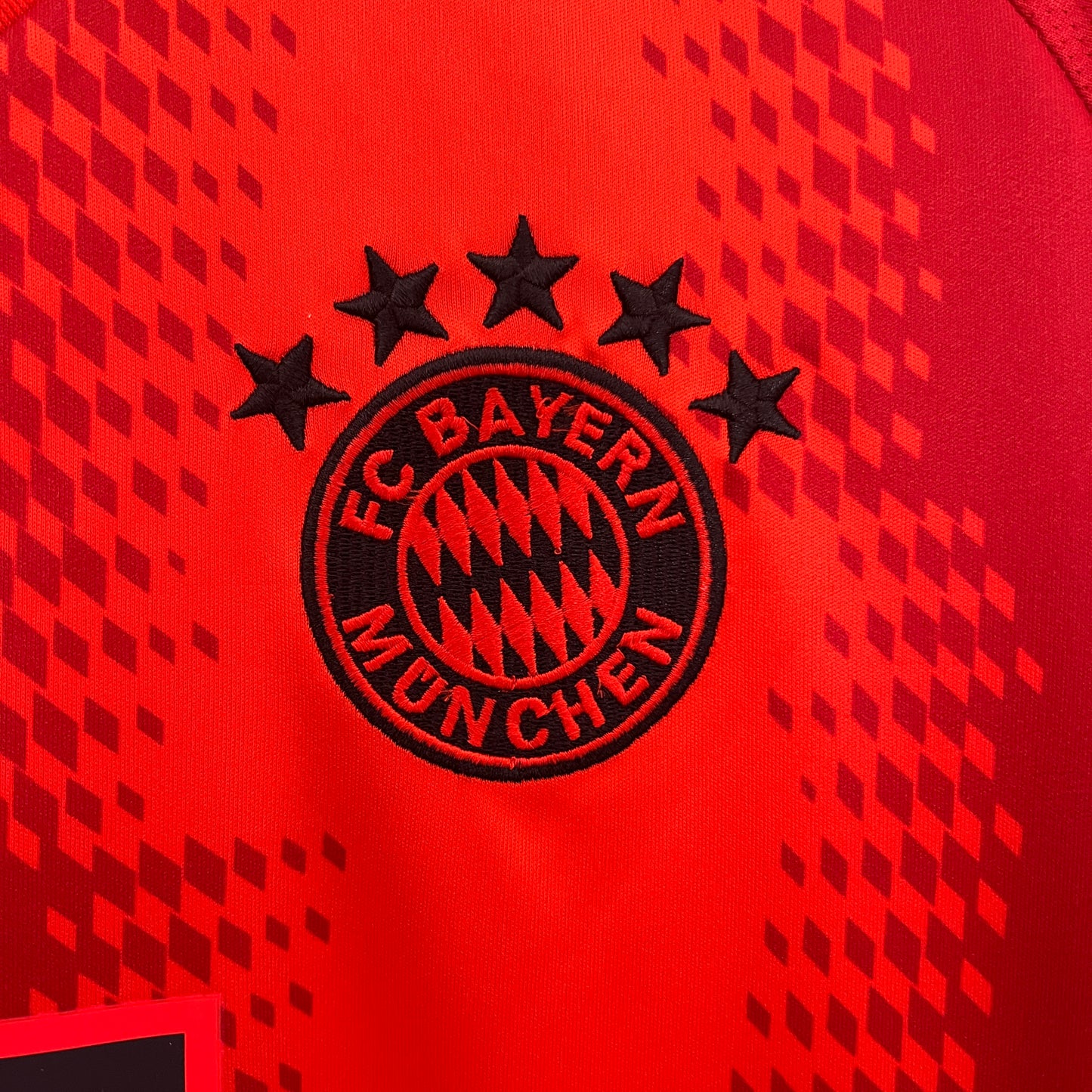 Camisa do Bayern Munich l 2024/25 Masculina Torcedor