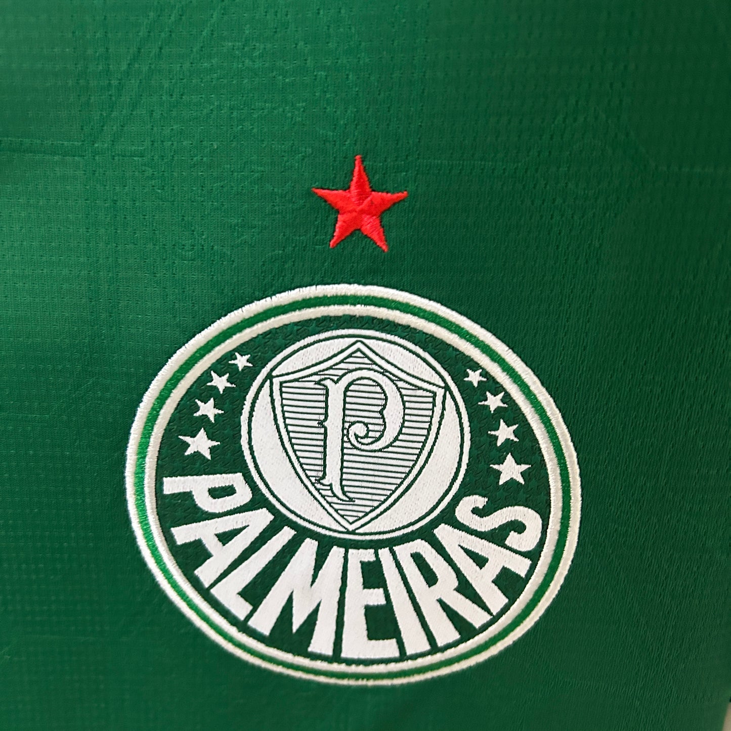 Camisa do Palmeiras l 25/26 Masculina Torcedor