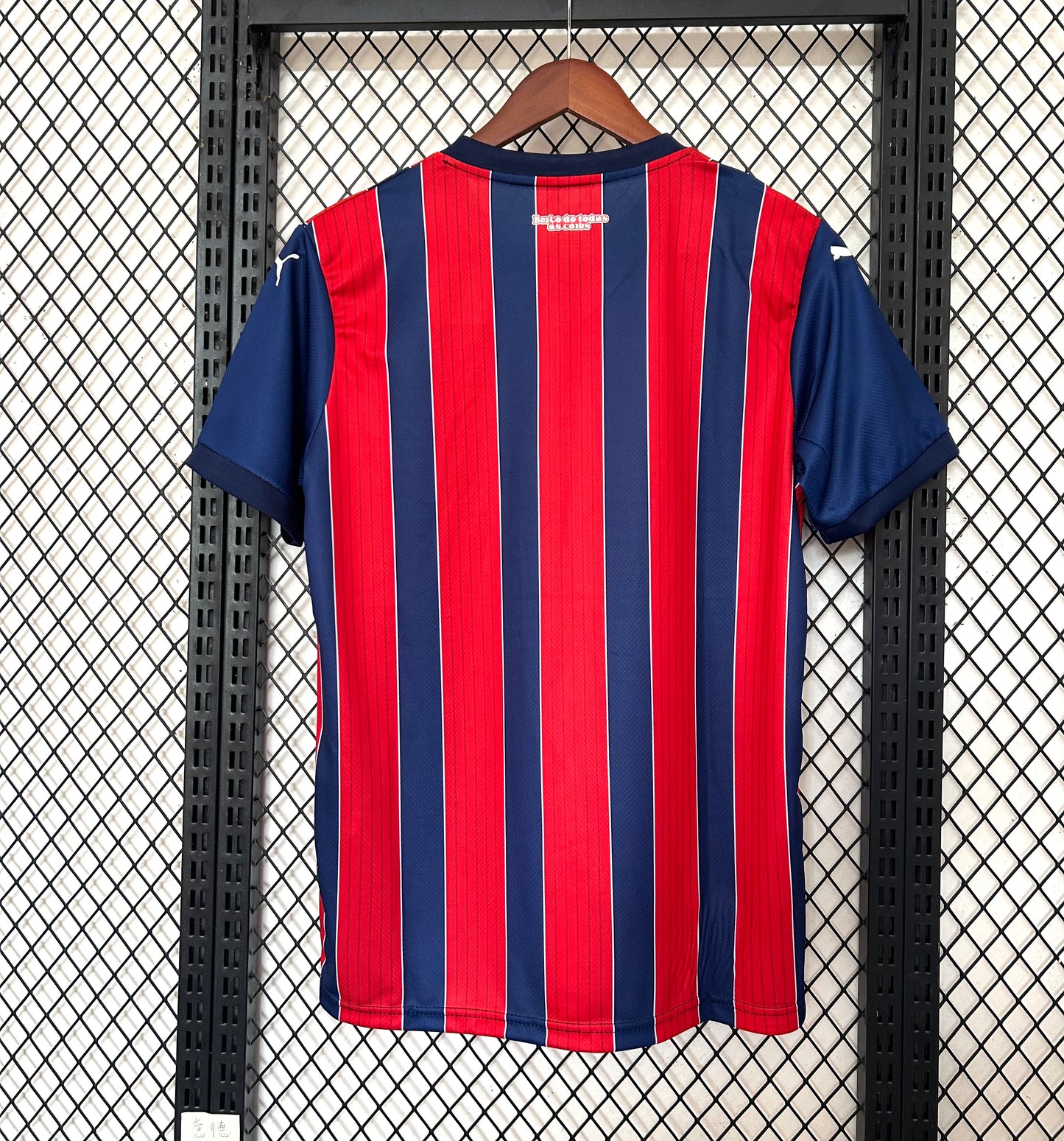 Camisa do Bahia ll 2025/26 Masculina Torcedor