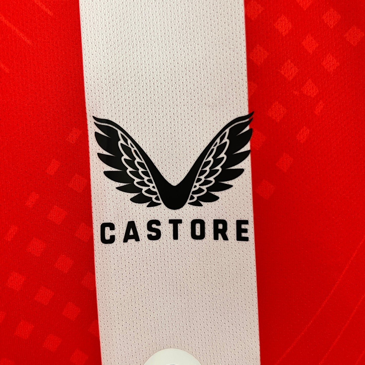 Camisa do Athletic Bilbao l 2024/25 Masculina Torcedor