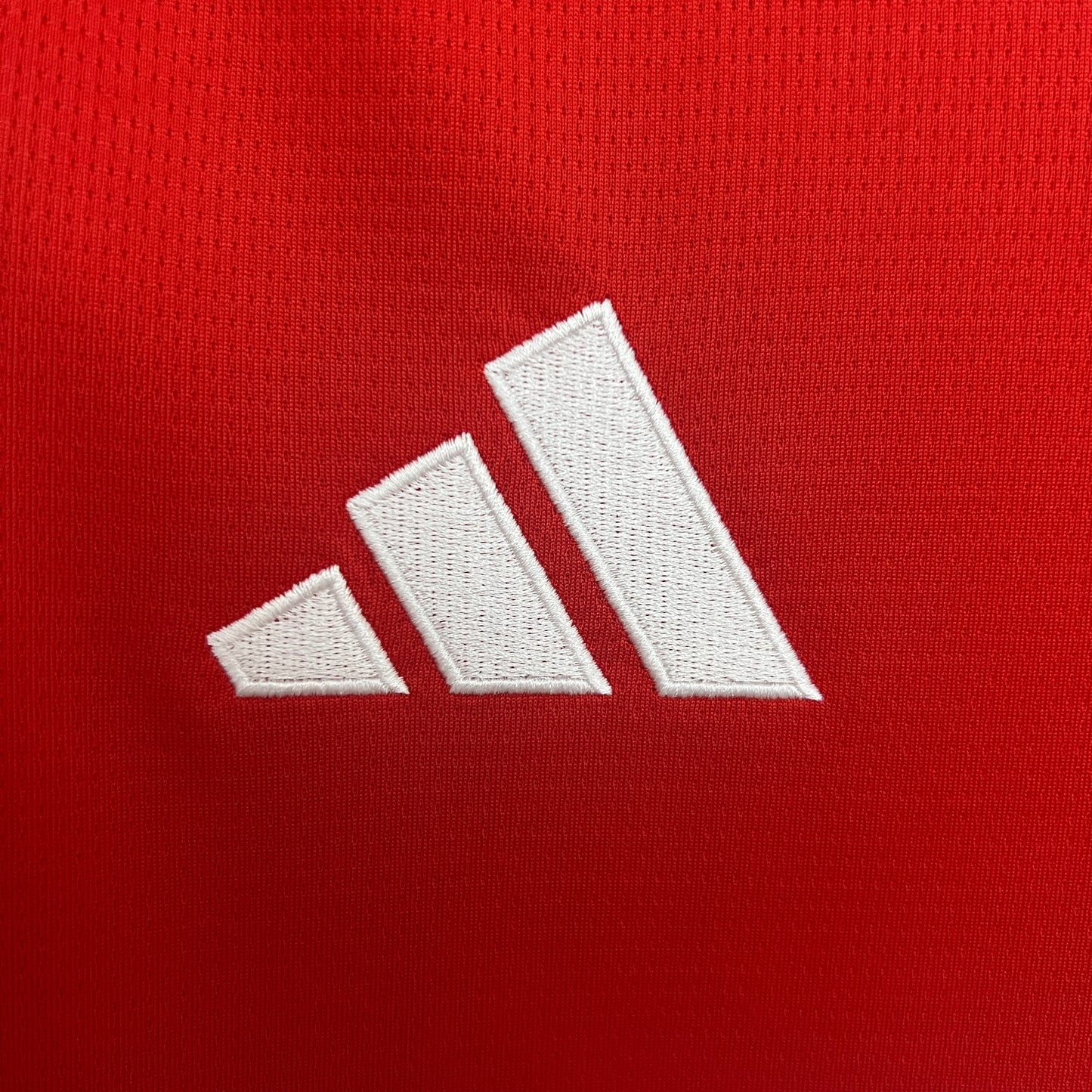 Camisa do Benfica l 2025/26 Masculina Torcedor