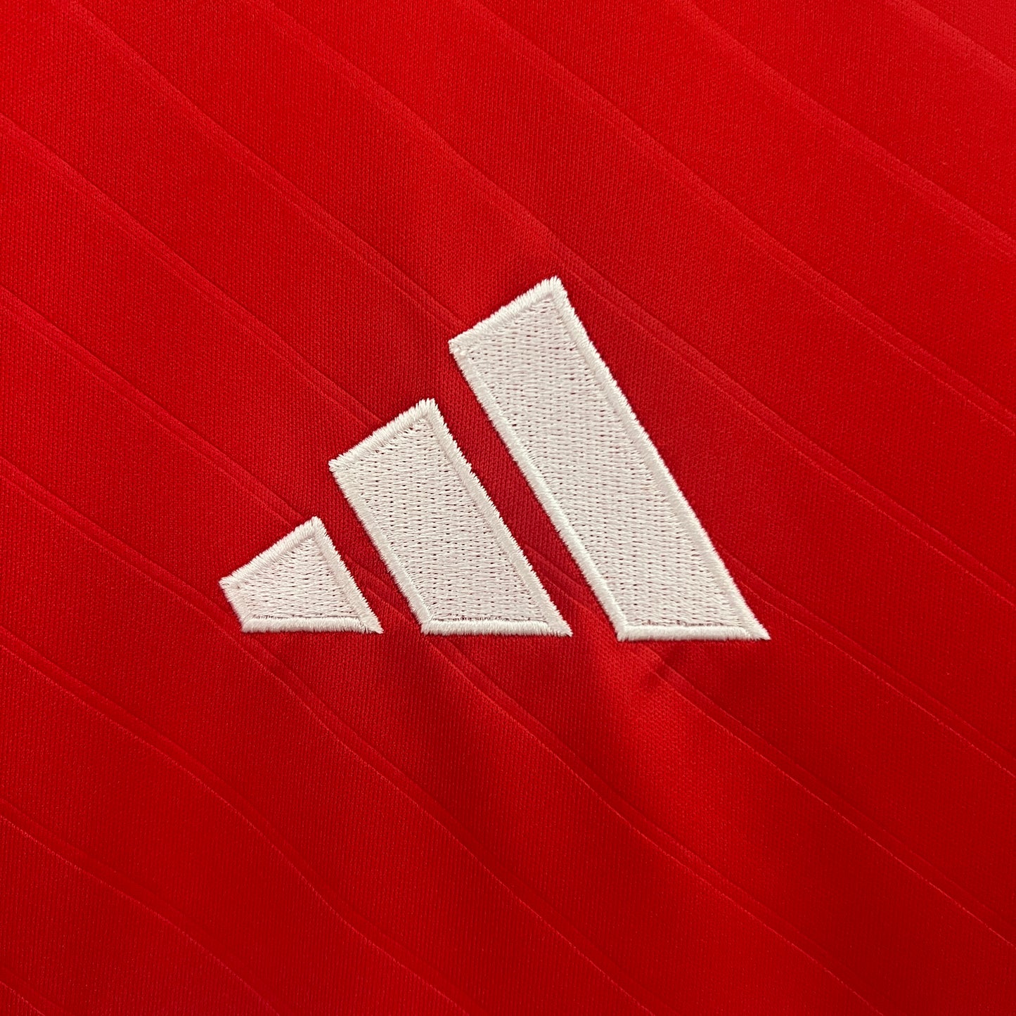Camisa do Benfica l 2024/25 Masculina Torcedor