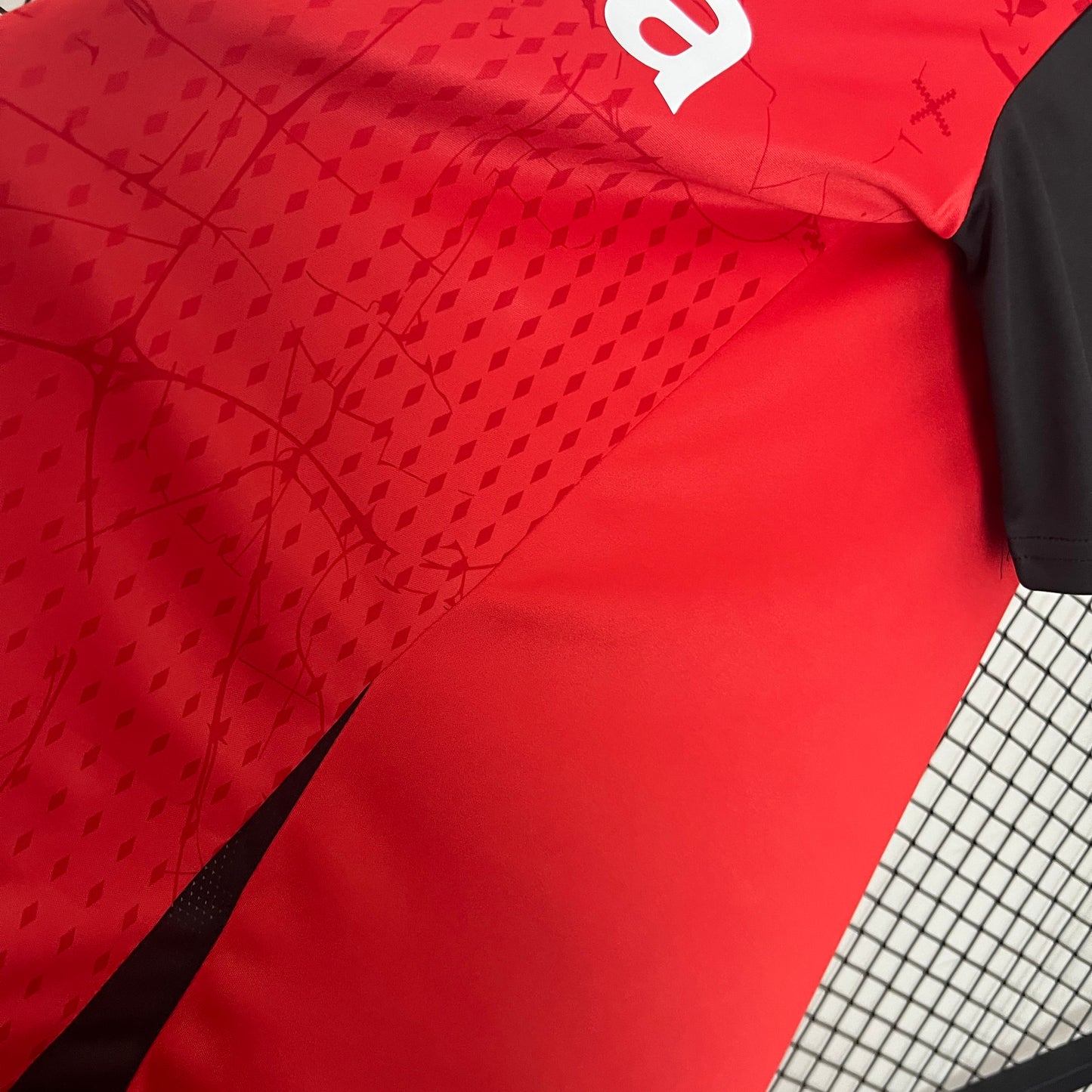 Camisa do Bayer Leverkusen l 2024/25 Masculina Torcedor