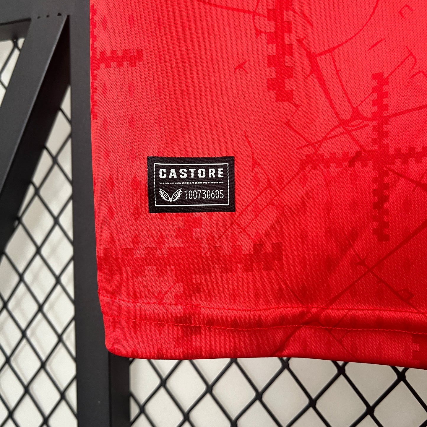 Camisa do Bayer Leverkusen l 2024/25 Masculina Torcedor