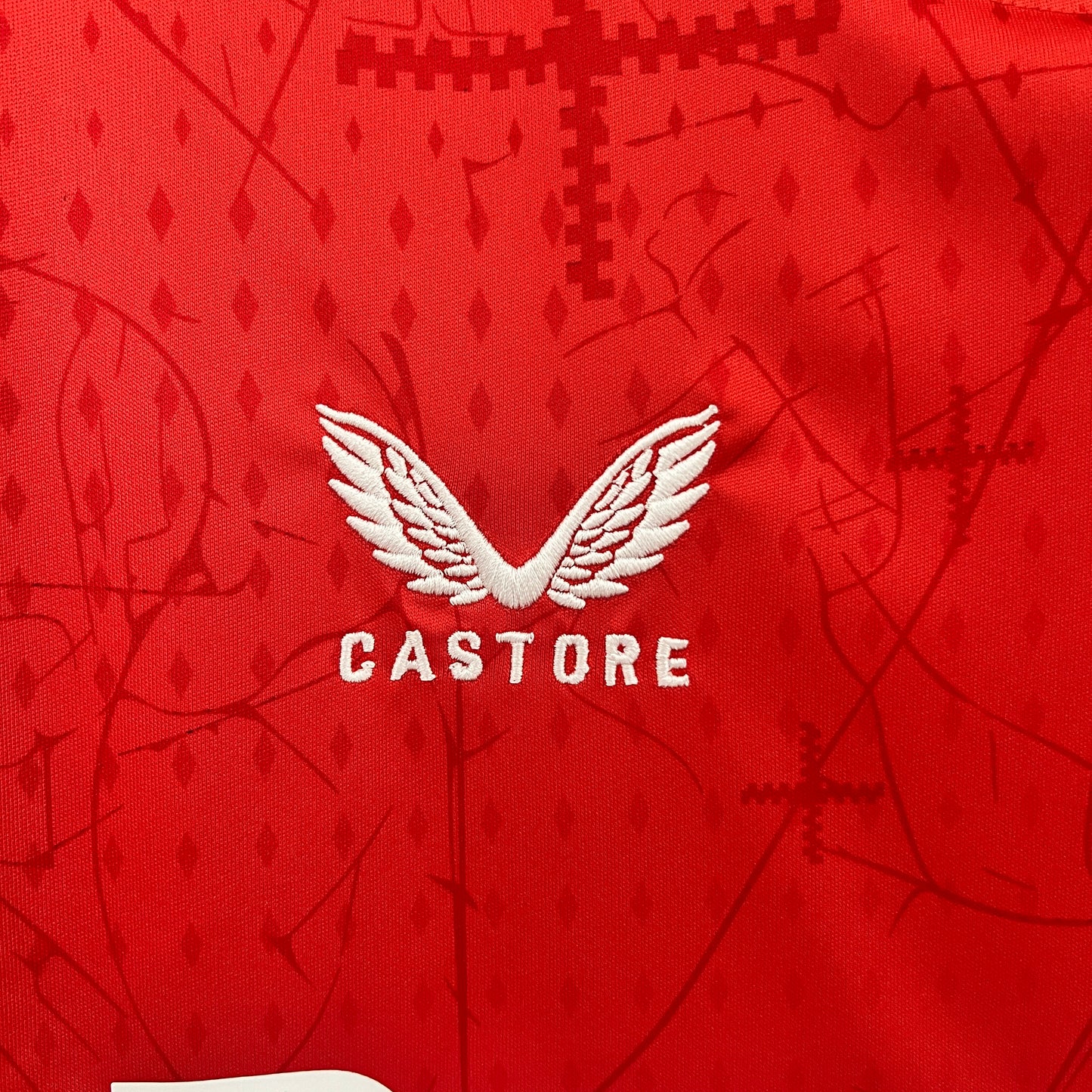 Camisa do Bayer Leverkusen l 2024/25 Masculina Torcedor