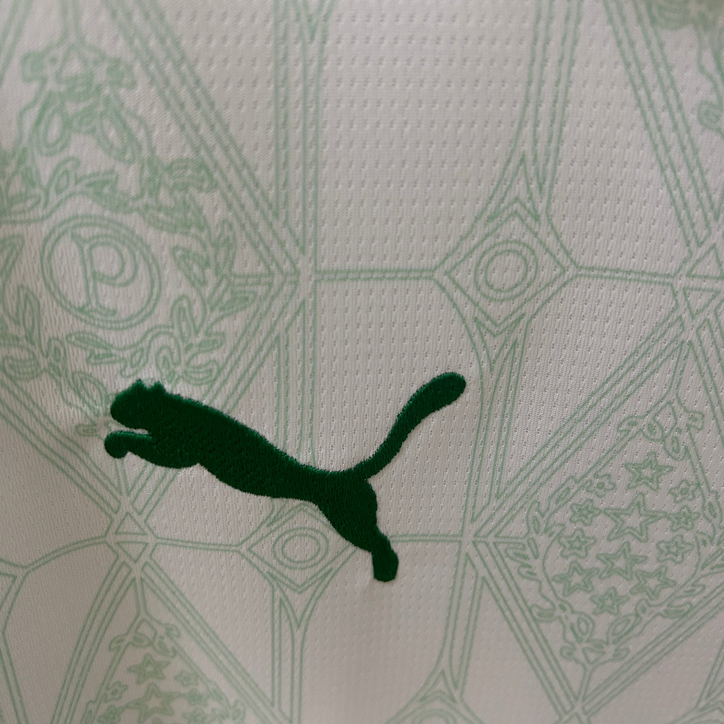 Camisa do Palmeiras ll 2025/26 Masculina Torcedor