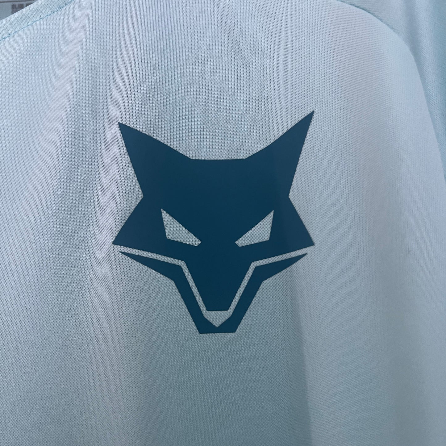 Camisa do Cruzeiro de Treino ll 2025/26 Masculina Torcedor