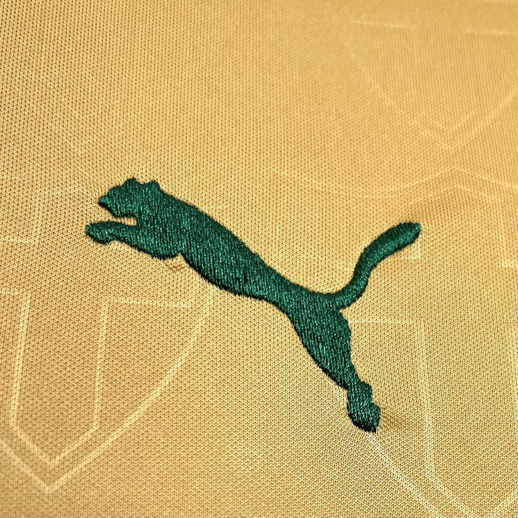 Camisa do Palmeiras 2024/25 Masculina Torcedor