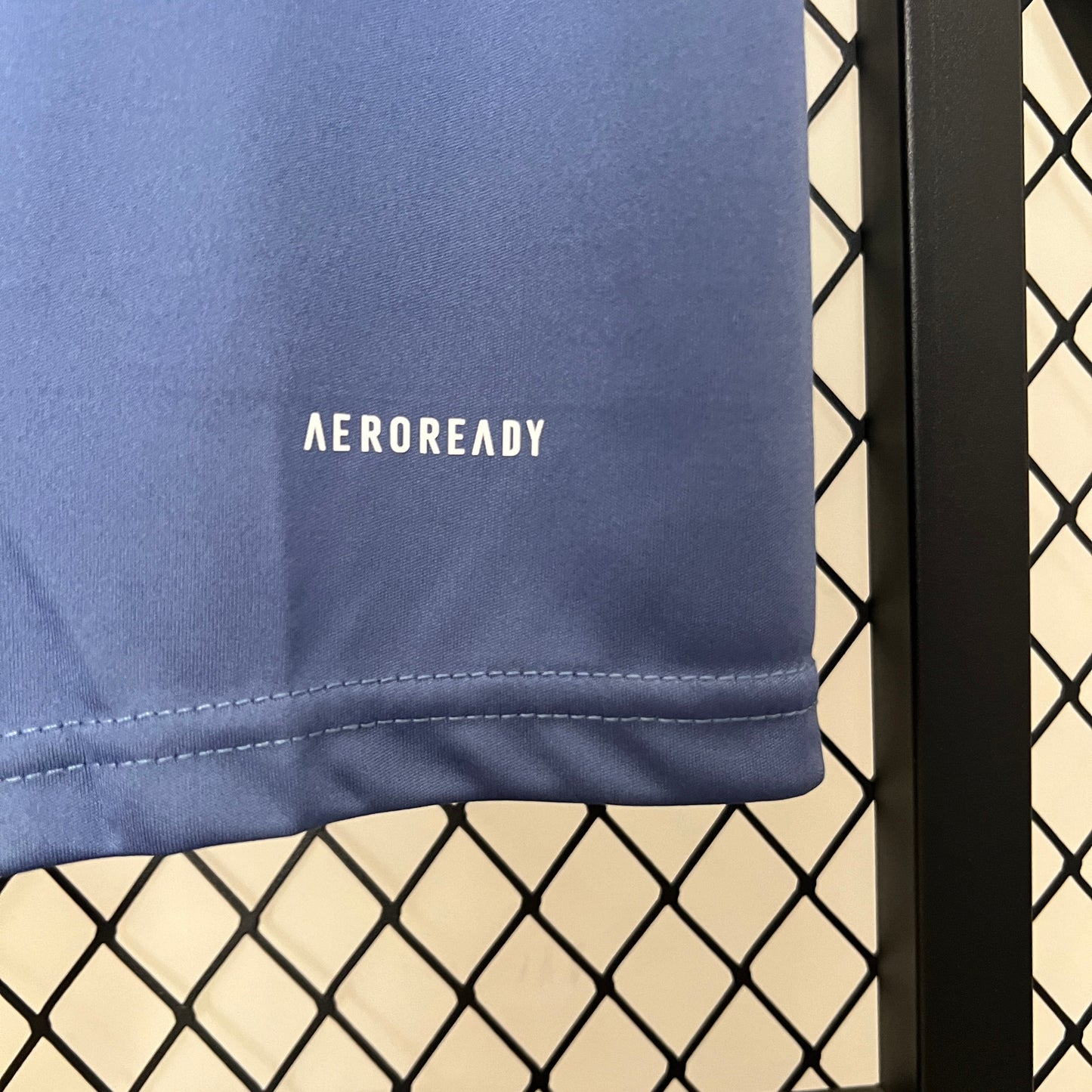 Camisa do Cruzeiro de Treino 2024/25 Masculina Torcedor