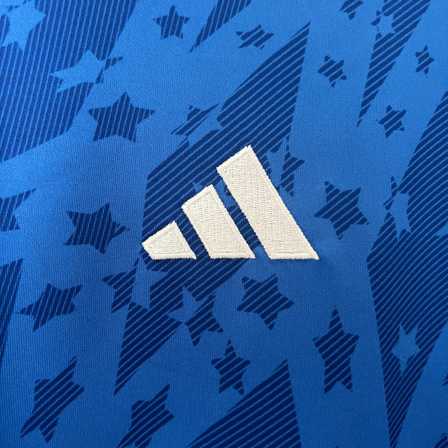 Camisa do Cruzeiro l 2024/25 Masculina Torcedor