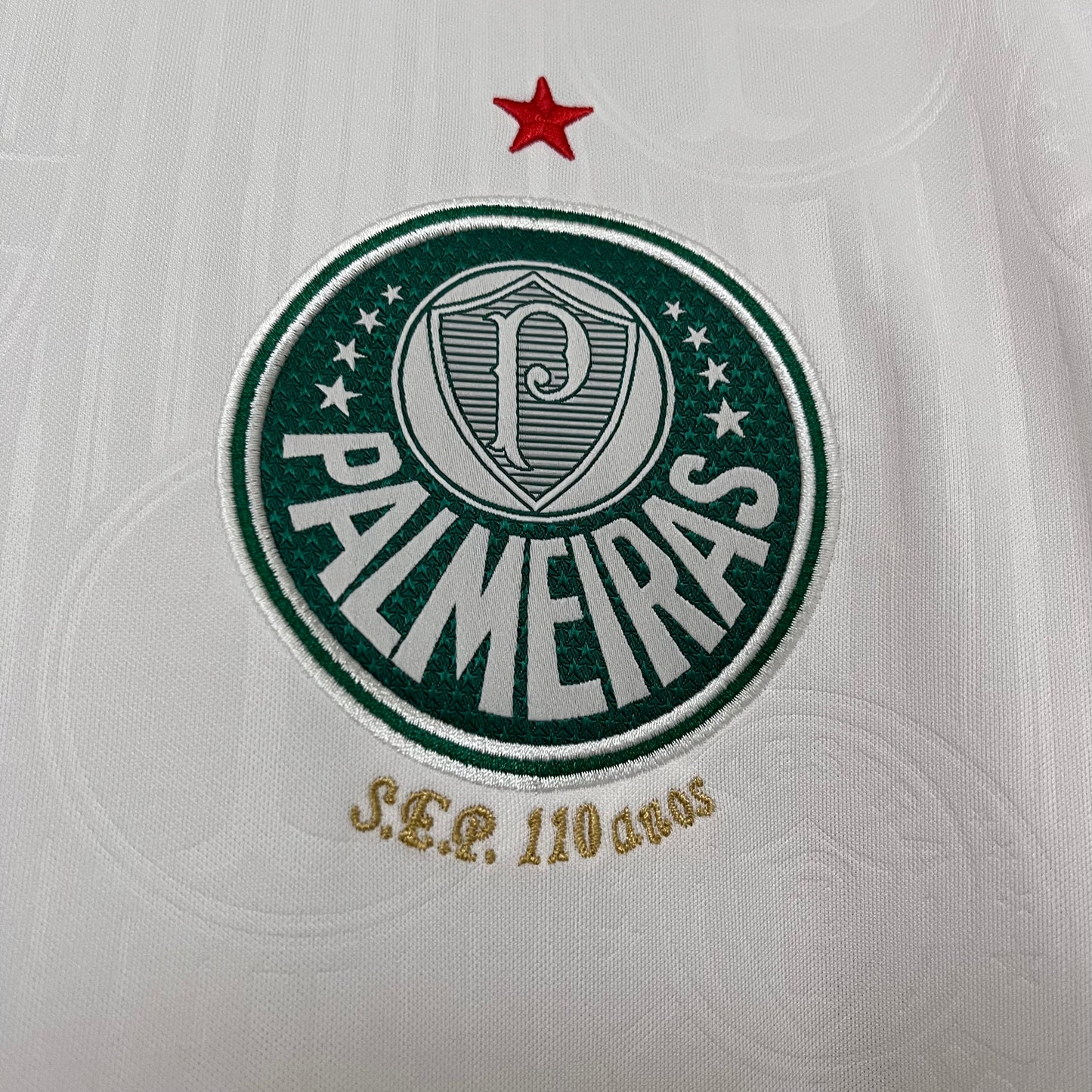Camisa do Palmeiras ll 2024/25 Masculina Torcedor