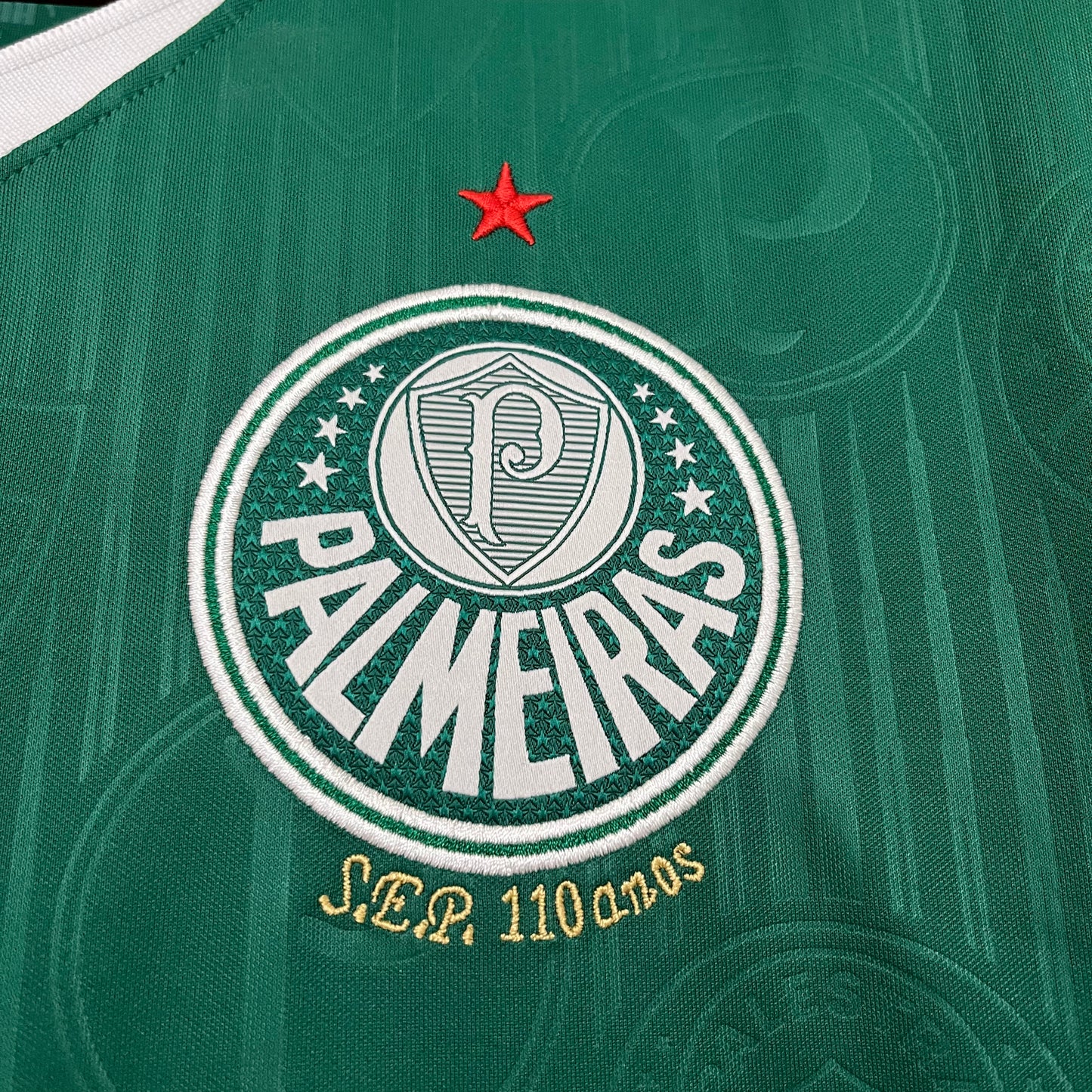 Camisa do Palmeiras l 2024/25 Masculina Torcedor