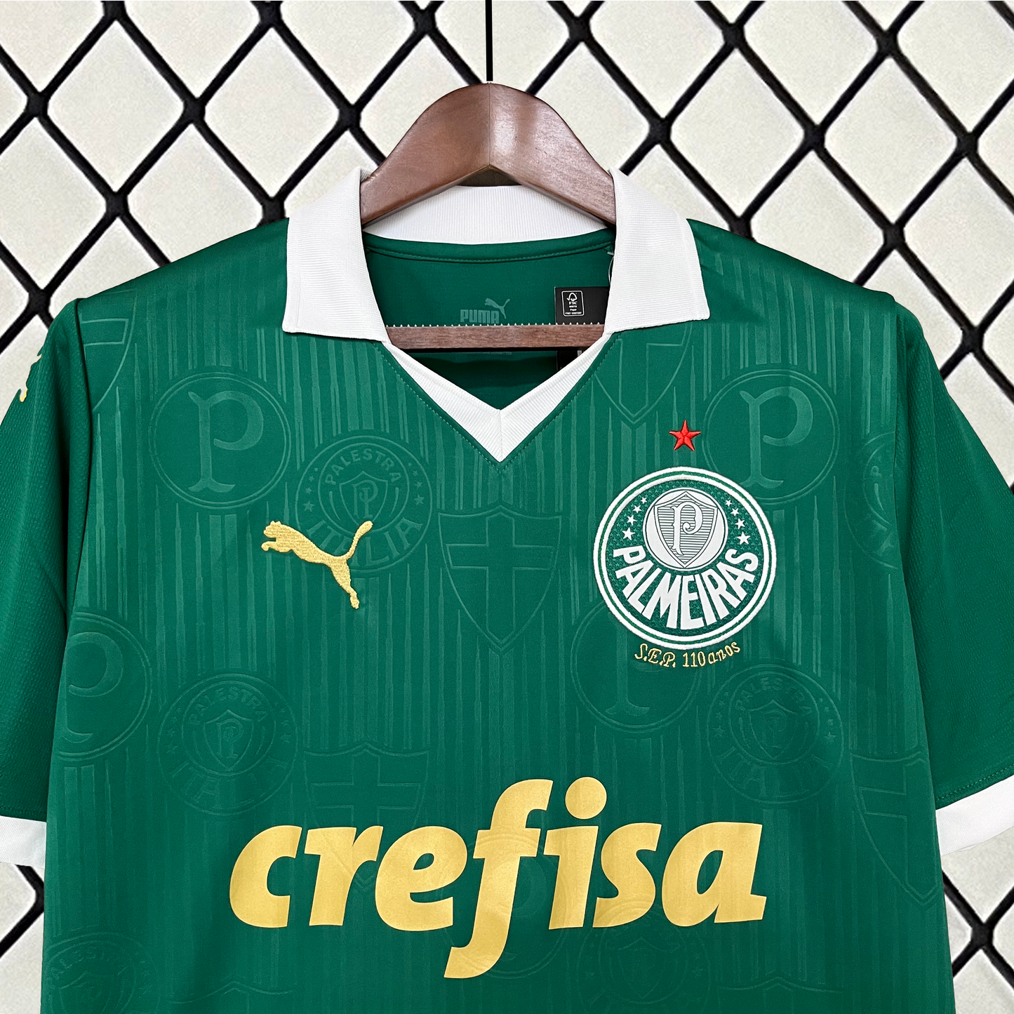 Camisa do Palmeiras l 2024/25 Masculina Torcedor