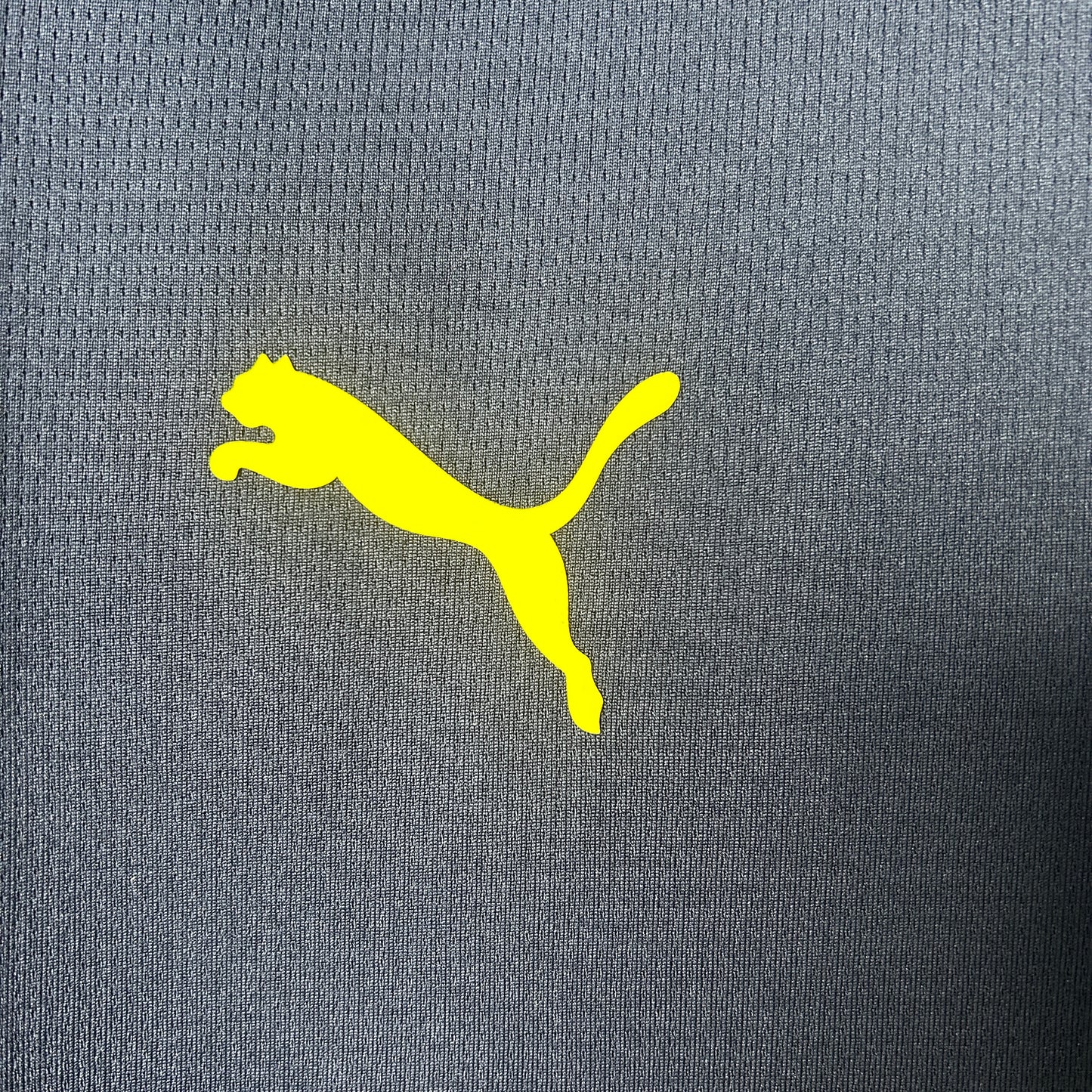 Camisa do Portugal de Treino 2025/26 Masculina Torcedor