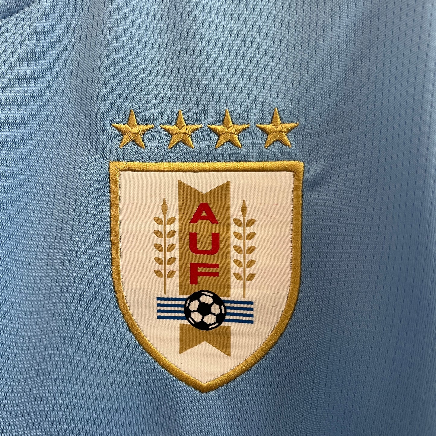 Camisa do Uruguai l 2024/25 Masculina Torcedor