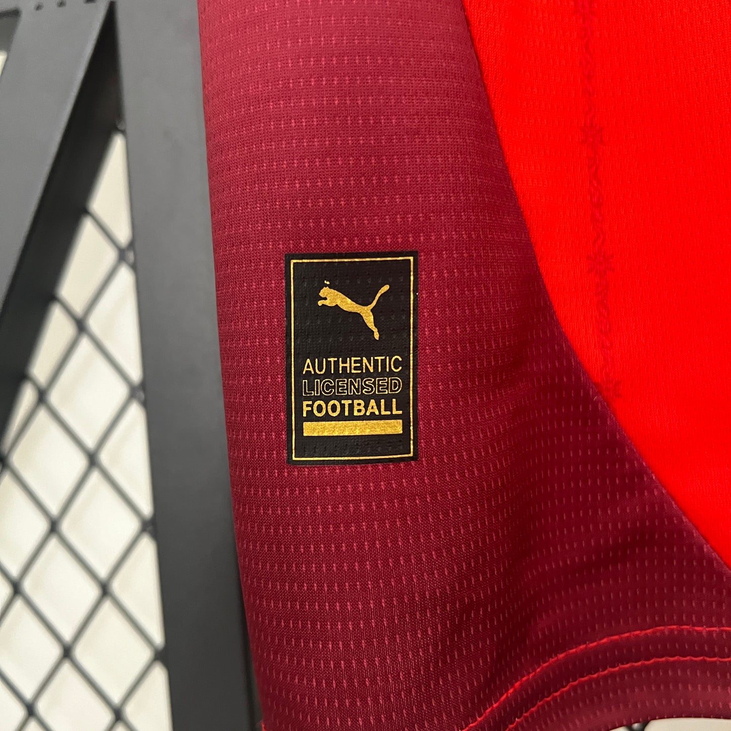 Camisa da Suíça l 2024/25 Masculina Torcedor