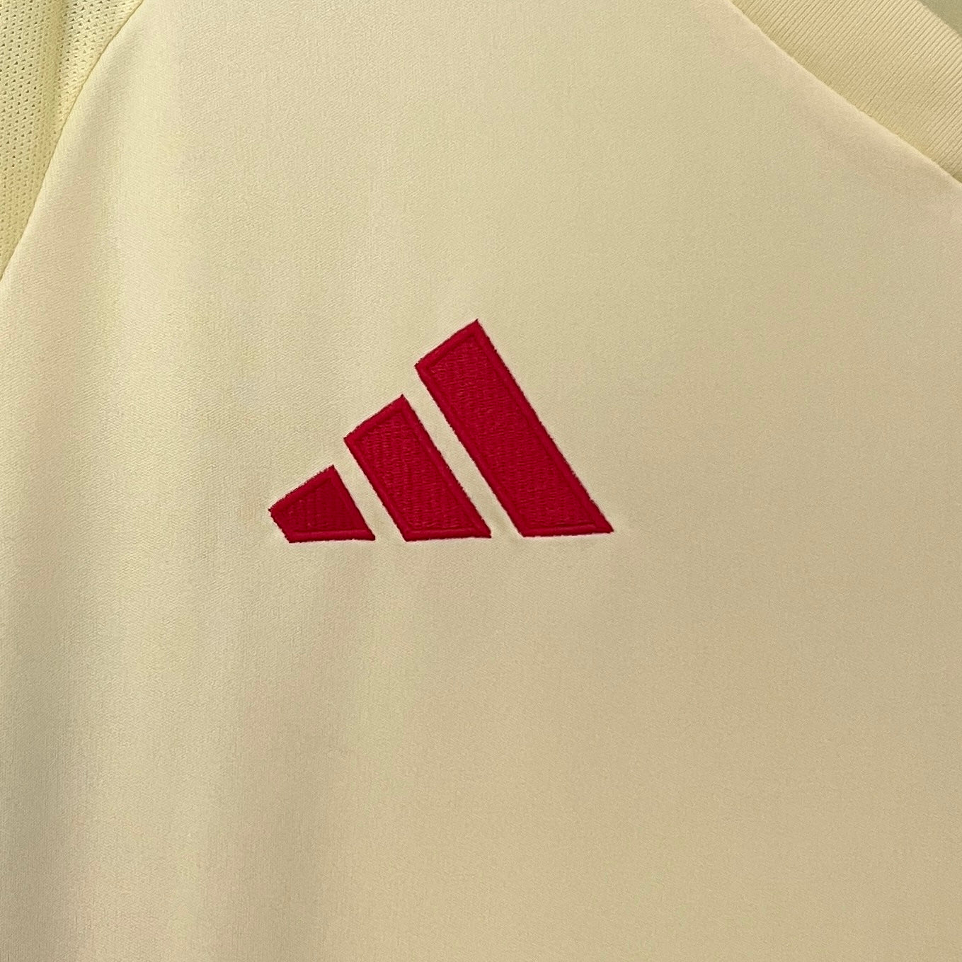 Camisa da Espanha ll 2024/25 Masculina Torcedor