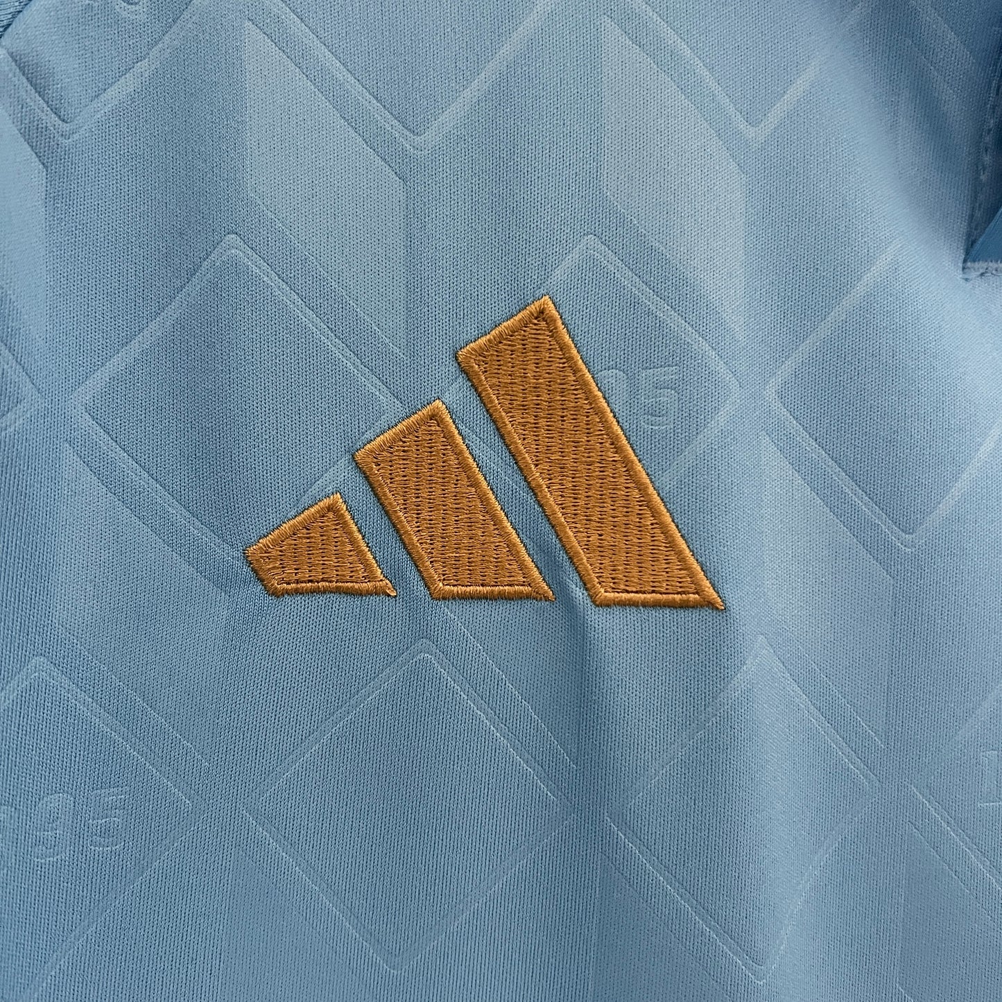 Camisa da Bélgica ll 2024/25 Masculina Torcedor