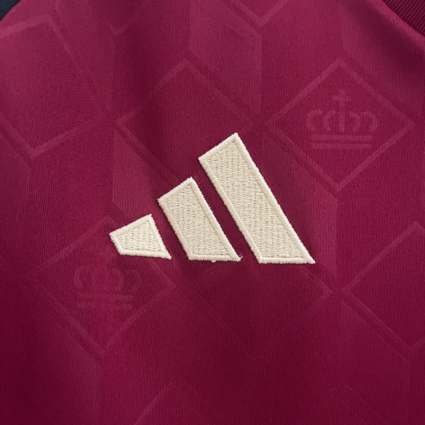 Camisa da Bélgica l 2024/25 Masculina Torcedor