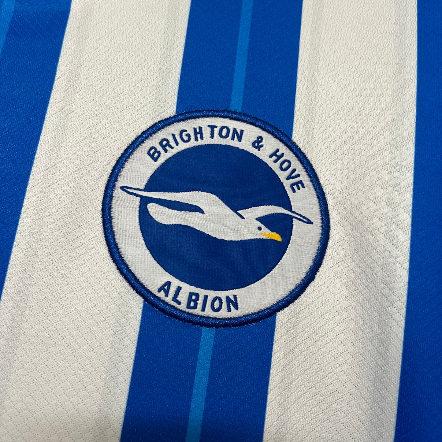 Camisa do Brighton l 2024/25 Masculina Torcedor