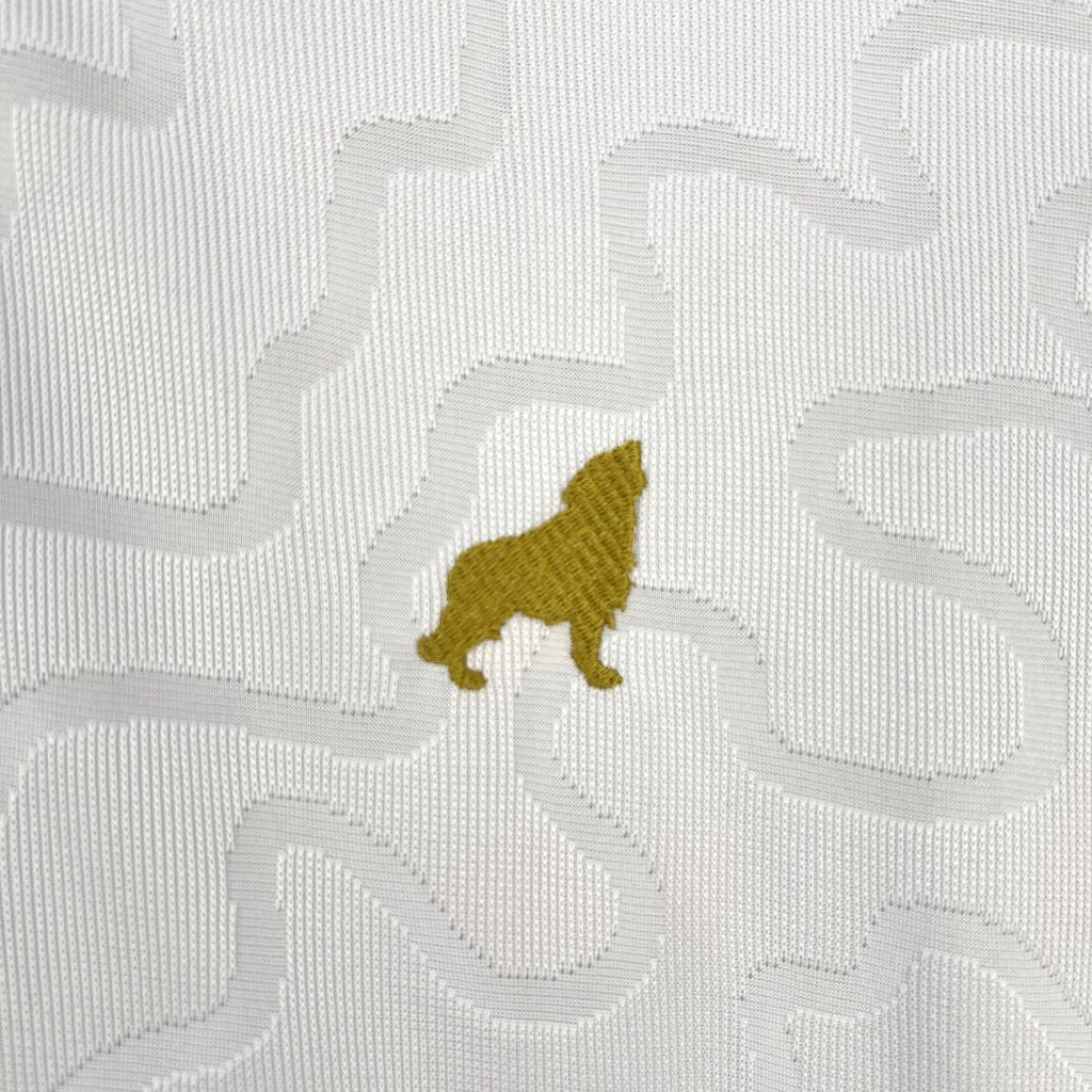 Camisa do Paysandu ll 2025/26 Masculina Torcedor