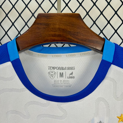 Camisa do Paysandu ll 2025/26 Masculina Torcedor