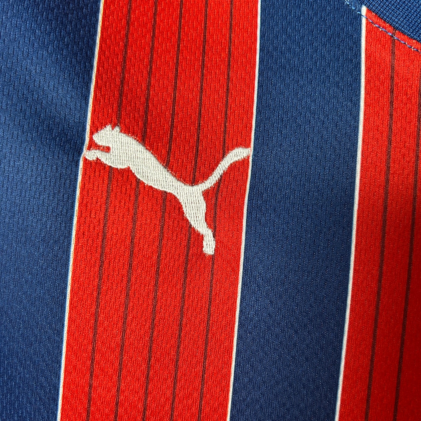 Camisa do Bahia ll 2025/26 Feminina Torcedora