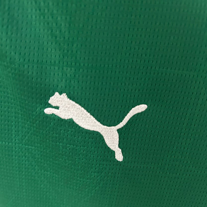 Camisa do Palmeiras l 2025/26 Feminina Torcedora