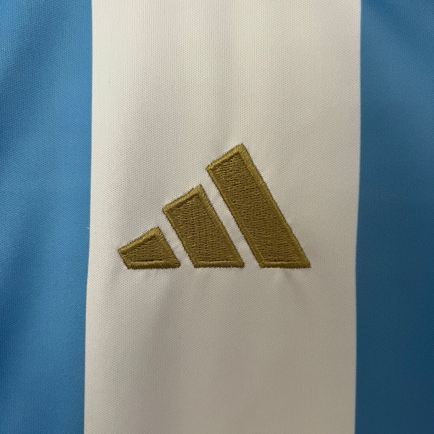 Camisa da Argentina l 2024/25 Feminina Torcedora