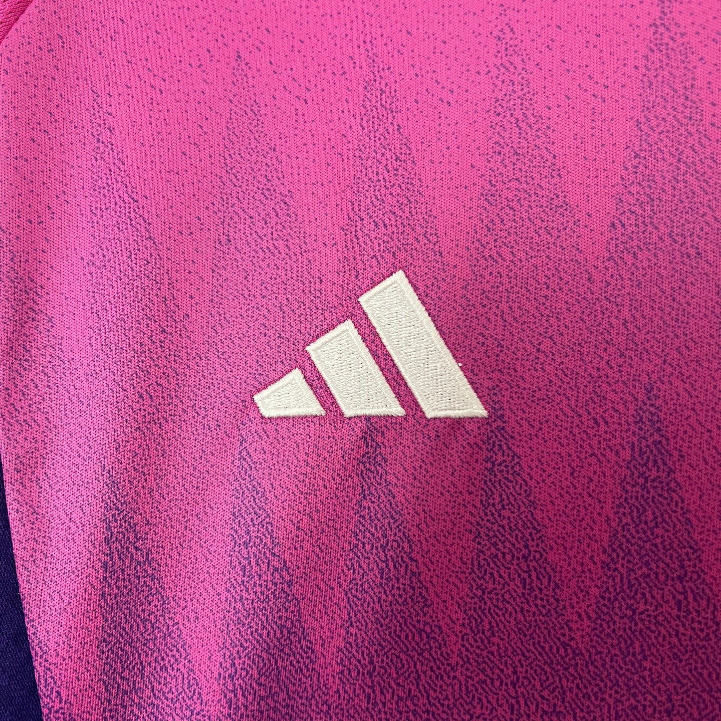 Camisa da Alemanha ll 2024/25 Feminina Torcedora