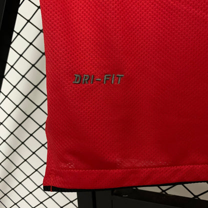 Camisa do Manchester United l 2010/11 Masculina Torcedor