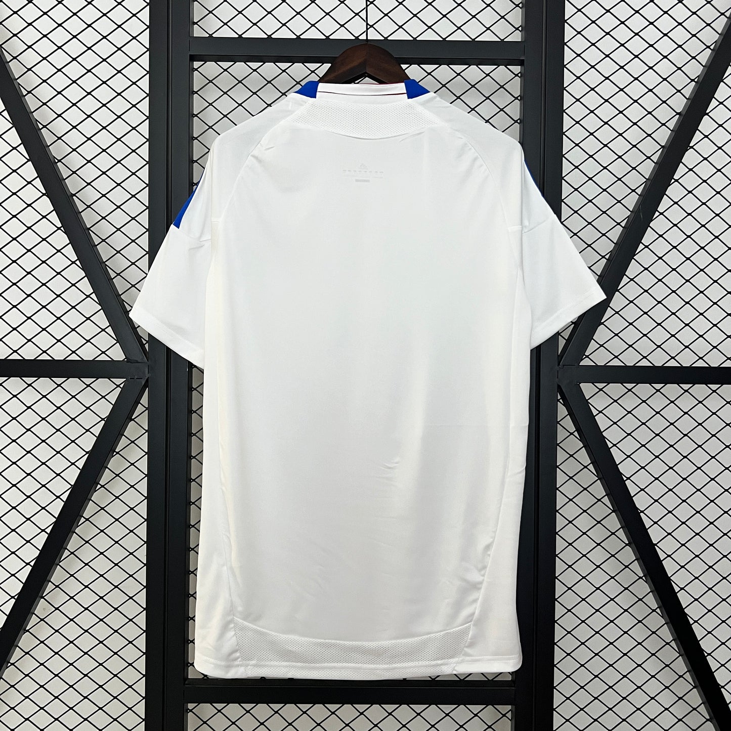 Camisa do Lyon l 2010/11 Masculina Torcedor