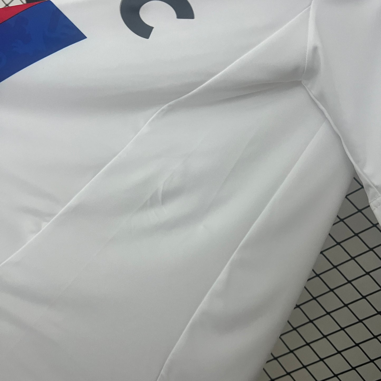 Camisa do Lyon l 2010/11 Masculina Torcedor
