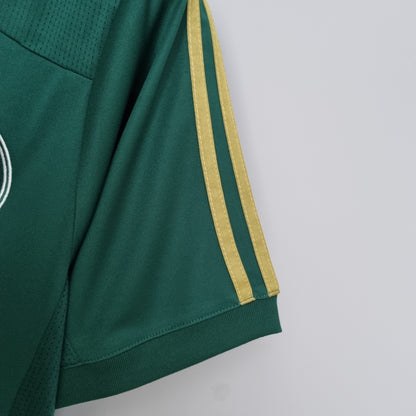Camisa do Palmeiras l 2014/15 Masculina Torcedor
