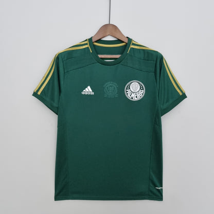 Camisa do Palmeiras l 2014/15 Masculina Torcedor