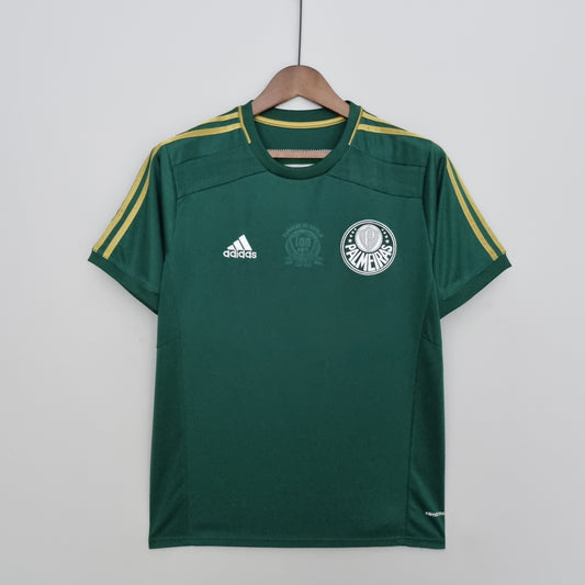 Camisa do Palmeiras l 2014/15 Masculina Torcedor